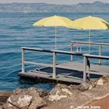 FREUNDE VON FREUDEN  FRIENDS OF FRIENDS